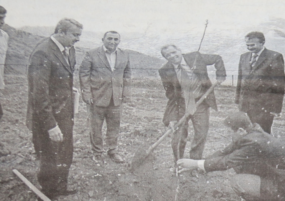 KÜRTÜN’DE CEVİZ KATLİAMI galerisi resim 1