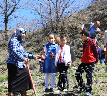 Minikler Anneleri İle Fidan Dikti galerisi resim 5