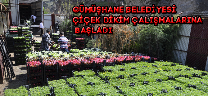 GÜMÜŞHANE BELEDİYESİ ÇİÇEK DİKİM ÇALIŞMALARINA BAŞLADI