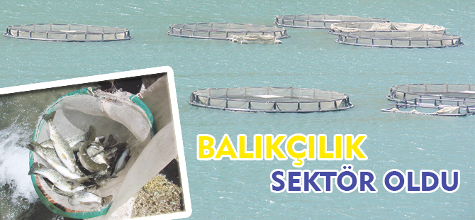 BALIKÇILIK SEKTÖR OLDU