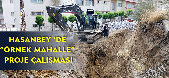 HASANBEY ’DE “ÖRNEK MAHALLE” PROJE ÇALIŞMASI