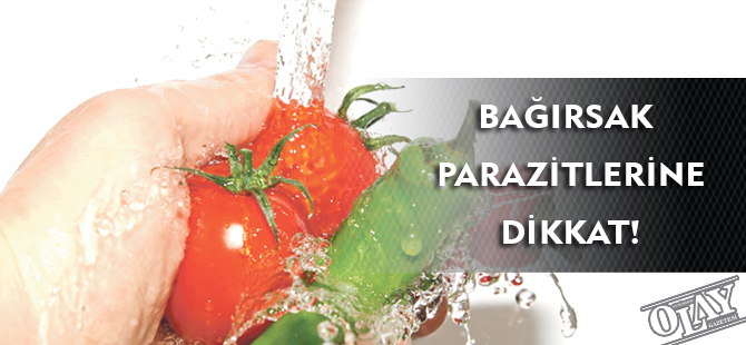 BAĞIRSAK PARAZİTLERİNE DİKKAT!