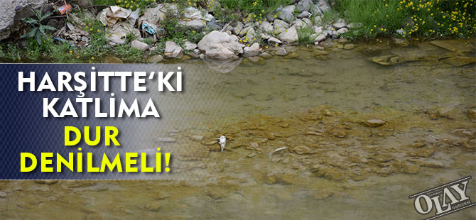 HARŞİTTE’Kİ KATLİMA DUR DENİLMELİ!
