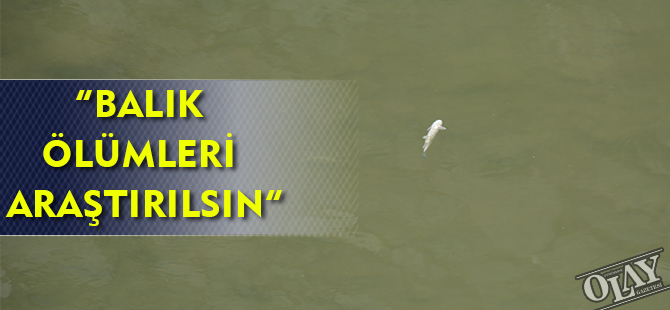 “BALIK ÖLÜMLERİ ARAŞTIRILSIN”