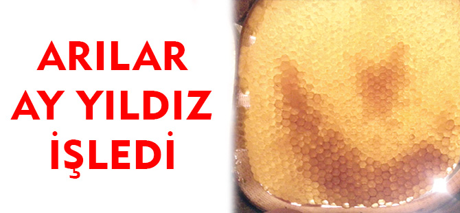 ARILAR AY YILDIZ İŞLEDİ