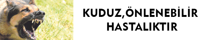 KUDUZ, ÖNLENEBİLİR HASTALIKTIR