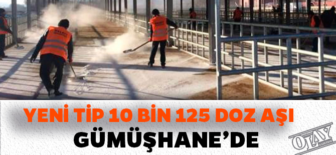 YENİ TİP 10 BİN 125 DOZ AŞI GÜMÜŞHANE’DE