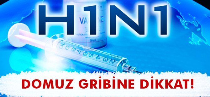 DOMUZ GRİBİNE DİKKAT!