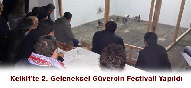 Kelkit’te 2. Geleneksel Güvercin Festivali Yapıldı