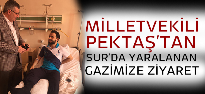 Pektaş’tan Gazi Ağaç’a Ziyaret