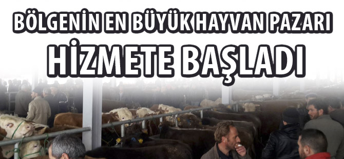 BÖLGENİN EN BÜYÜK HAYVAN PAZARI HİZMETE BAŞLADI