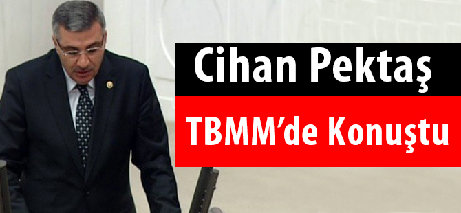 Pektaş, TBMM’de konuştu