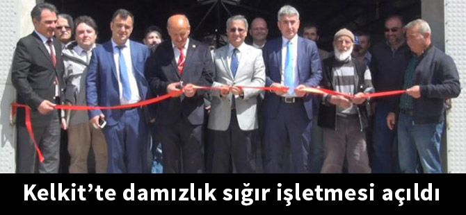 Kelkit’te damızlık sığır işletmesi açıldı