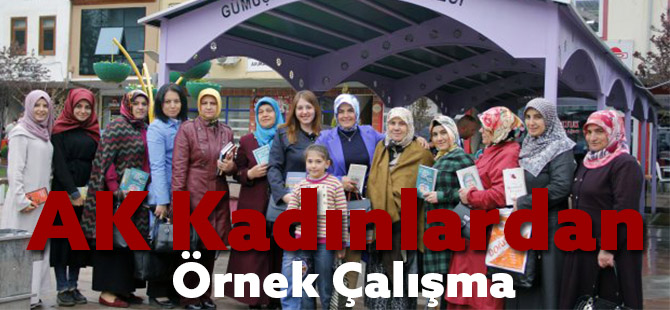 AK Kadınlardan örnek çalışma