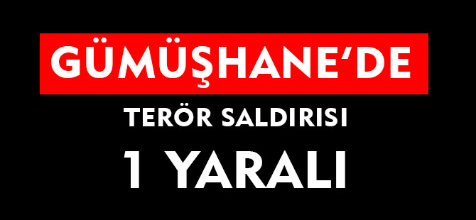 GÜMÜŞHANE’DE TERÖR SALDIRISI: 1 YARALI