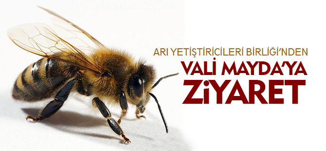 ARI YETİŞTİRİCİLERİ BİRLİĞİ'NDEN VALİ MAYDA'YA ZİYARET