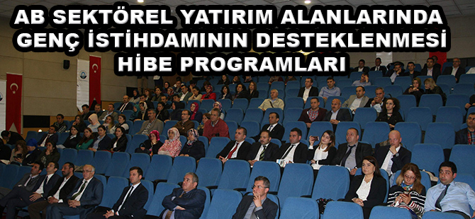 AB SEKTÖREL YATIRIM ALANLARINDA GENÇ İSTİHDAMININ DESTEKLENMESİ HİBE PROGRAMLARI