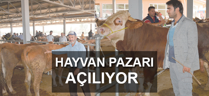 Hayvan Pazarı Açılıyor