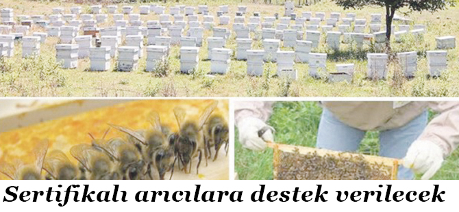 Sertifikalı arıcılara destek verilecek