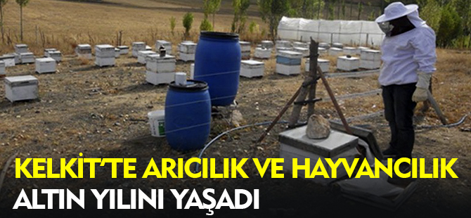 KELKİT'TE ARICILIK VE HAYVANCILIK ALTIN YILINI YAŞADI