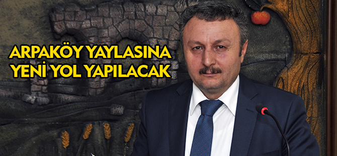 ARPAKÖY YAYLASINA YENİ YOL YAPILACAK