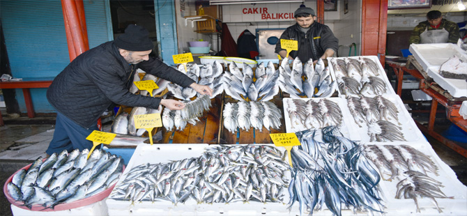 Balık Az Avlanınca Fiyatlar Arttı