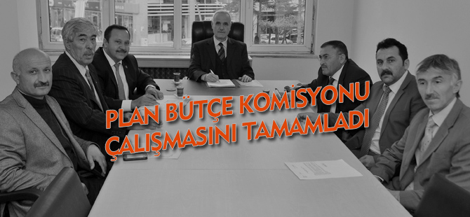 PLAN BÜTÇE KOMİSYONU ÇALIŞMASINI TAMAMLADI