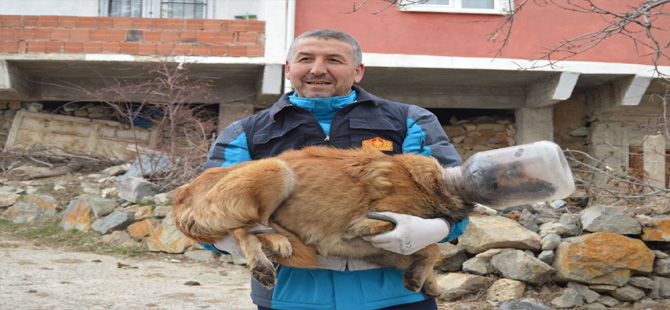 BİDONA SIKIŞAN KÖPEK İÇİN YARDIM İSTEDİLER