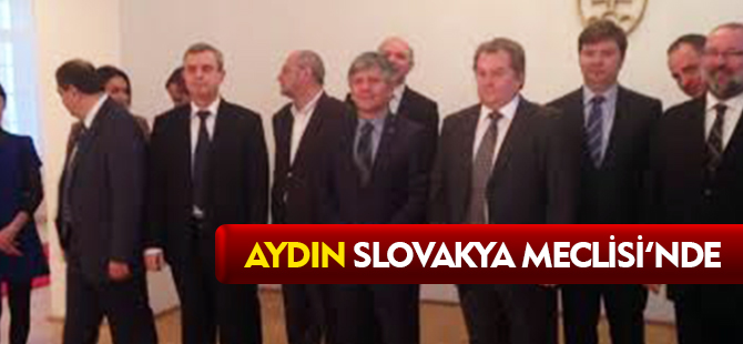 AYDIN SLOVAKYA MECLİSİNDE