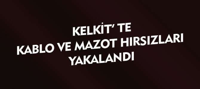 KELKİT'TE KABLO ve MAZOT HIRSIZLARI YAKALANDI