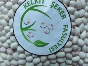 Kelkit Şeker Fasulyesi Coğrafi İşaretini Aldı