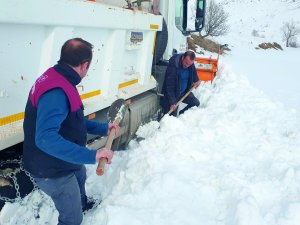 Yollar Bu Kez Hayvanlar İçin Açıldı