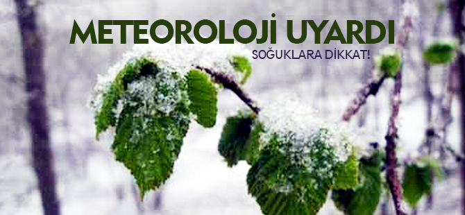 METEOROLOJİ UYARDI; SOĞUKLARA DİKKAT!