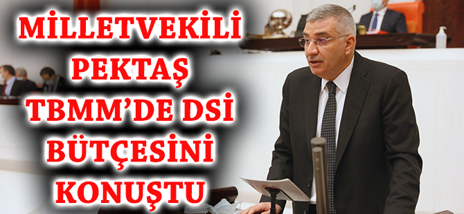 MİLLETVEKİLİ PEKTAŞ TBMM’DE DSİ BÜTÇESİNİ KONUŞTU