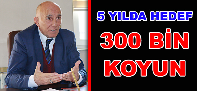 GÜMÜŞHANE ÜNİVERSİTESİ KÜTÜPHANESİNDE VETİS UYGULAMASI BAŞLADI