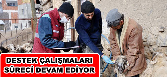 “ANAÇ KOYUN” DESTEK ÇALIŞMALARI SÜRECİ DEVAM EDİYOR