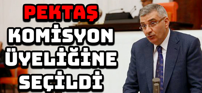 PEKTAŞ KOMİSYON ÜYELİĞİNE SEÇİLDİ