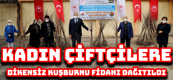 GÜMÜŞHANE’DE KADIN ÇİFTÇİLERE DİKENSİZ KUŞBURNU FİDANI DAĞITILDI