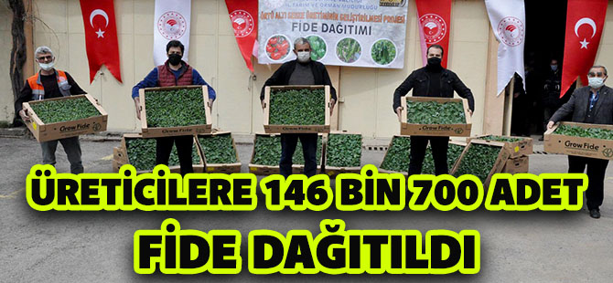 GÜMÜŞHANE’DE ÜRETİCİLERE 146 BİN 700 ADET FİDE DAĞITILDI