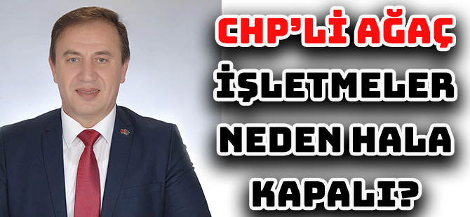 CHP’Lİ AĞAÇ: “İŞLETMELER NEDEN HALA KAPALI?”