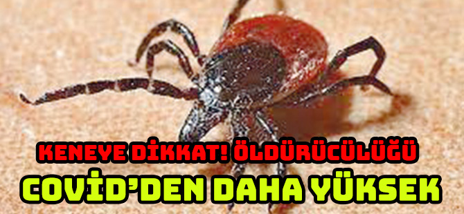 KENEYE DİKKAT! ÖLDÜRÜCÜLÜĞÜ   COVİD’DEN DAHA YÜKSEK