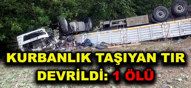 KURBANLIK TAŞIYAN TIR DEVRİLDİ: 1 ÖLÜ