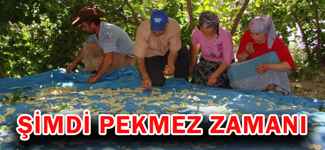 ŞİMDİ PEKMEZ ZAMANI