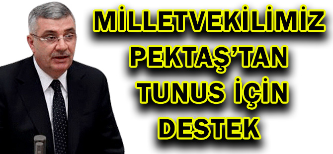 MİLLETVEKİLİMİZ PEKTAŞ’TAN TUNUS İÇİN DESTEK MEKTUBU