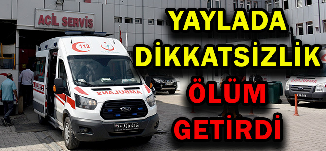 YAYLADA DİKKATSİZLİK ÖLÜM GETİRDİ