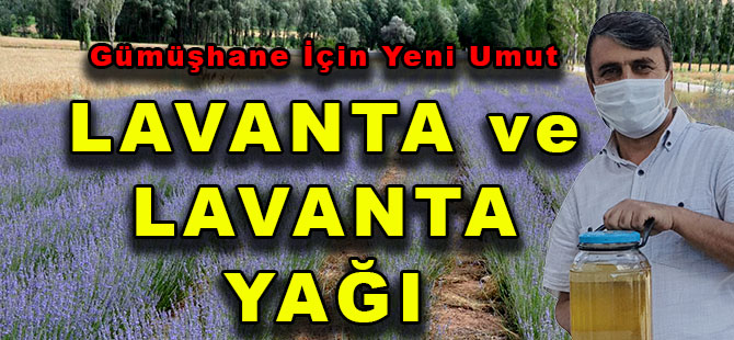 Gümüşhane İçin Yeni Umut  LAVANTA ve LAVANTA YAĞI