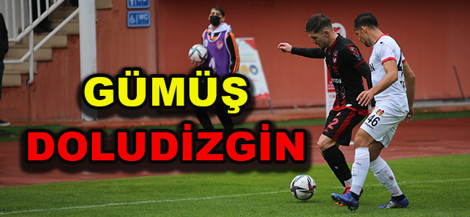 GÜMÜŞ DOLUDİZGİN