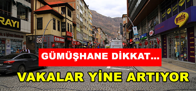 GÜMÜŞHANE DİKKAT… VAKALAR YİNE ARTIYOR