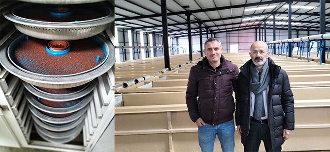 TKDK'DAN KÜRTÜN'DE 20 MİLYON KAPASİTELİ YAVRU ALABALIK PROJESİ HAYATA GEÇİYOR