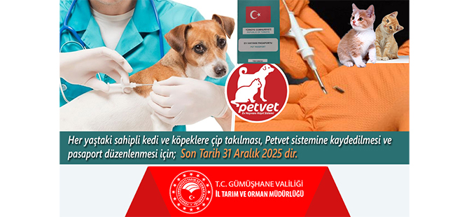 KEDİ VE KÖPEKLER 31 ARALIK TARİHİNE KADAR KİMLİKLENDİRİLECEK